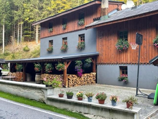 Kamenny Mlyn Hotel Strážné Buitenkant foto